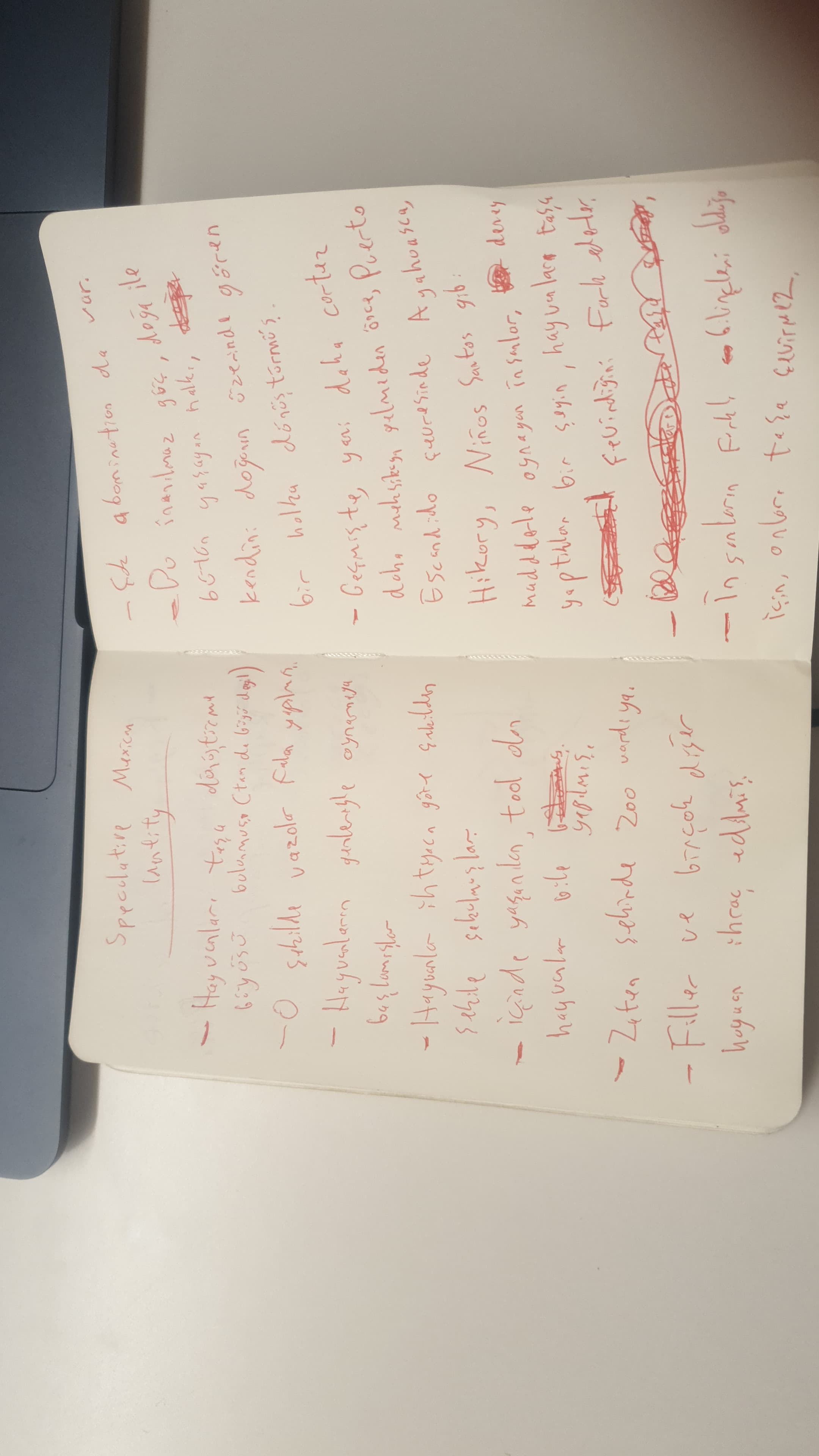 A notebook page of handwritten notes in red ink, headed Speculative Mexican Identity.